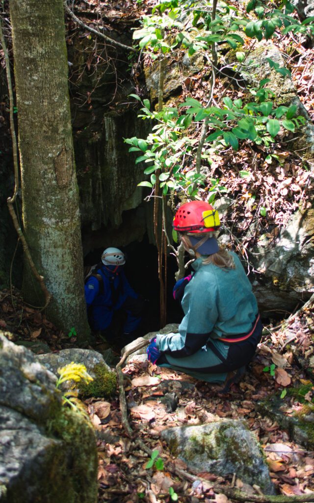 Meus pais estão na entrada da caverna, inspecionando o acesso a ela.