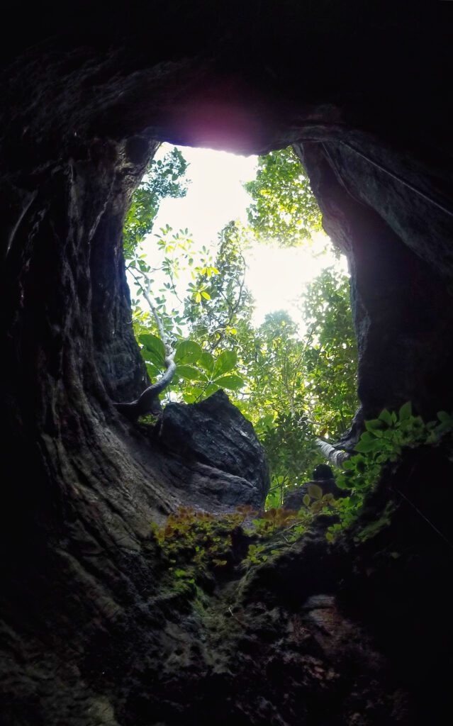 A cena descrita revela a beleza natural de uma caverna, vista de dentro para fora. A abertura no teto, rodeada por rochas escuras e formas irregulares, emoldura um vislumbre do mundo exterior. A vegetação, que desafia as condições adversas, cresce tanto ao redor quanto dentro da caverna, trazendo vida a este ambiente sombrio. Raios de sol penetram pela abertura, banhando as plantas em luz e destacando o verde vibrante contra o fundo escuro. O céu, visível através desta janela natural, aparece como uma tela pintada com luz, oferecendo uma visão espetacular que ressalta a interação harmoniosa entre a escuridão da caverna e a luminosidade do dia. Este contraste cria um panorama visual que é ao mesmo tempo impressionante e profundamente imersivo, convidando à reflexão sobre a incrível capacidade da natureza de coexistir e se adaptar.
