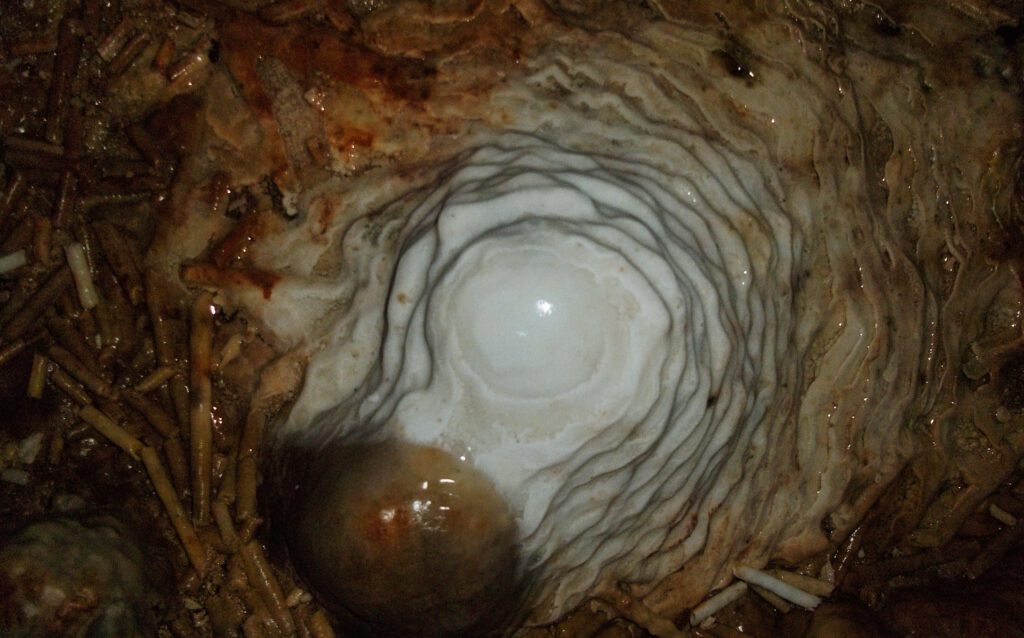 O espeleotema retratado na imagem, popularmente chamado de "bolo de noiva", é um exemplo fascinante dos fenômenos naturais que ocorrem no interior das cavernas. Formado pelo constante gotejar da água rica em minerais, sua parte superior branca é constituída principalmente por calcita, um mineral comum em ambientes cavernosos. Já a coloração marrom deve-se à acumulação de partículas de poeira ao longo do tempo. Essas formações são testemunhas silenciosas da história geológica, revelando os intricados processos químicos e as condições ambientais que prevaleceram durante sua formação. Além de seu valor científico, o "bolo de noiva" é uma maravilha visual, destacando-se como uma peça central em muitas cavernas, atraindo tanto geólogos quanto entusiastas da natureza que buscam compreender e apreciar a beleza oculta nos recantos subterrâneos do nosso planeta.